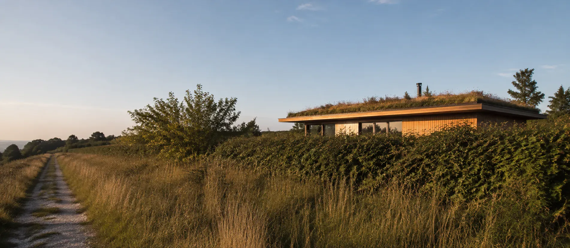 Casa in legno con tetto verde, mezza nascosta dall'erba alta di fine estate